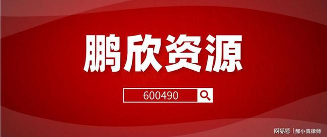 鹏欣资源最新消息全面解析